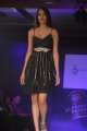 Hyderabad International Fashion Week 2011 (Day 1)