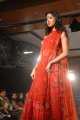 Hyderabad International Fashion Week 2011 (Day 1)