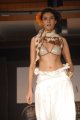 Hyderabad International Fashion Week 2011 (Day 1)