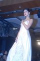 Hyderabad International Fashion Week 2011 (Day 1)