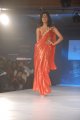 Hyderabad International Fashion Week 2011 (Day 1)