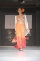 Hyderabad International Fashion Week 2011 (Day 1)