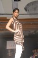 Hyderabad International Fashion Week 2011 (Day 1)