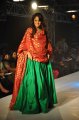 Hyderabad International Fashion Week 2011 (Day 1)