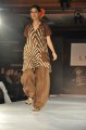 Hyderabad International Fashion Week 2011 (Day 1)