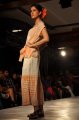 Hyderabad International Fashion Week 2011 (Day 1)