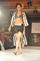 Hyderabad International Fashion Week 2011 (Day 1)