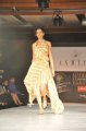 Hyderabad International Fashion Week 2011 (Day 1)