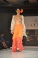 Hyderabad International Fashion Week 2011 (Day 1)