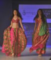 Hyderabad International Fashion Week 2011 (Day 1)