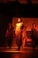 Hyderabad International Fashion Week 2011 (Day 1)