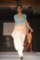 Hyderabad International Fashion Week 2011 (Day 1)