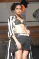 Hyderabad International Fashion Week 2011 (Day 1)