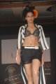 Hyderabad International Fashion Week 2011 (Day 1)