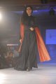 Hyderabad International Fashion Week 2011 (Day 1)