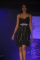 Hyderabad International Fashion Week 2011 (Day 1)