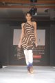 Hyderabad International Fashion Week 2011 (Day 1)