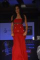 Hyderabad International Fashion Week 2011 (Day 1)