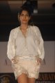 Hyderabad International Fashion Week 2011 (Day 1)