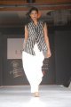 Hyderabad International Fashion Week 2011 (Day 1)