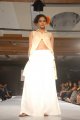 Hyderabad International Fashion Week 2011 (Day 1)