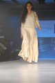 Hyderabad International Fashion Week 2011 (Day 1)