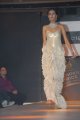 Hyderabad International Fashion Week 2011 (Day 1)