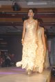 Hyderabad International Fashion Week 2011 (Day 1)