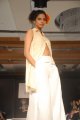 Hyderabad International Fashion Week 2011 (Day 1)