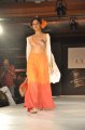 Hyderabad International Fashion Week 2011 (Day 1)