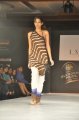 Hyderabad International Fashion Week 2011 (Day 1)