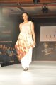 Hyderabad International Fashion Week 2011 (Day 1)