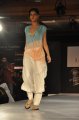 Hyderabad International Fashion Week 2011 (Day 1)