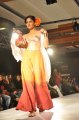 Hyderabad International Fashion Week 2011 (Day 1)