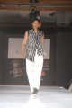 Hyderabad International Fashion Week 2011 (Day 1)