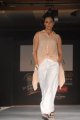 Hyderabad International Fashion Week 2011 (Day 1)