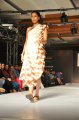 Hyderabad International Fashion Week 2011 (Day 1)