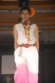 Hyderabad International Fashion Week 2011 (Day 1)