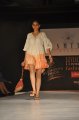 Hyderabad International Fashion Week 2011 (Day 1)