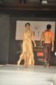 Hyderabad International Fashion Week 2011 (Day 1)