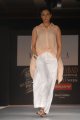 Hyderabad International Fashion Week 2011 (Day 1)