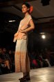 Hyderabad International Fashion Week 2011 (Day 1)