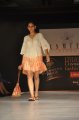 Hyderabad International Fashion Week 2011 (Day 1)