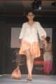 Hyderabad International Fashion Week 2011 (Day 1)