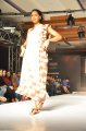 Hyderabad International Fashion Week 2011 (Day 1)