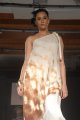 Hyderabad International Fashion Week 2011 (Day 1)