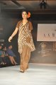 Hyderabad International Fashion Week 2011 (Day 1)