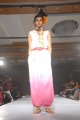 Hyderabad International Fashion Week 2011 (Day 1)