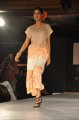 Hyderabad International Fashion Week 2011 (Day 1)