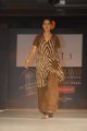 Hyderabad International Fashion Week 2011 (Day 1)